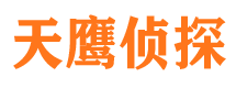 塔河侦探公司